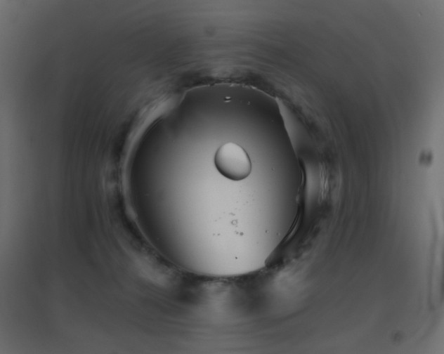 X0000096660272200802051226