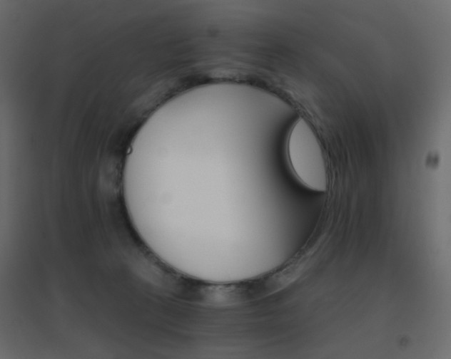 X0000096660273200802051226