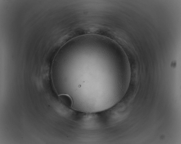 X0000096660274200802051226