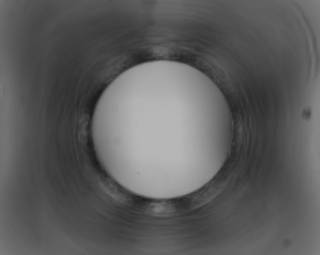 X0000096660275200802051226