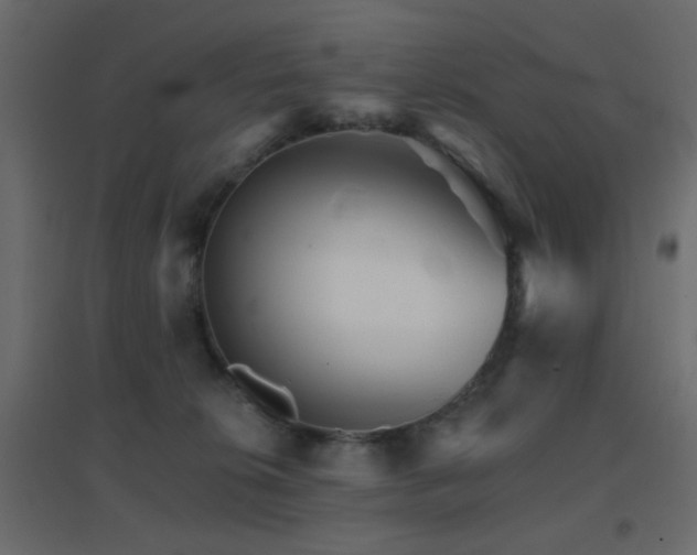 X0000096660276200802051226