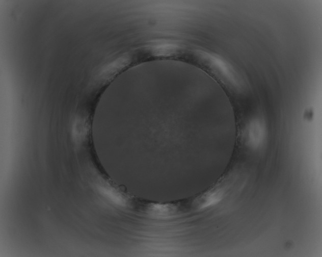 X0000096660277200802051226