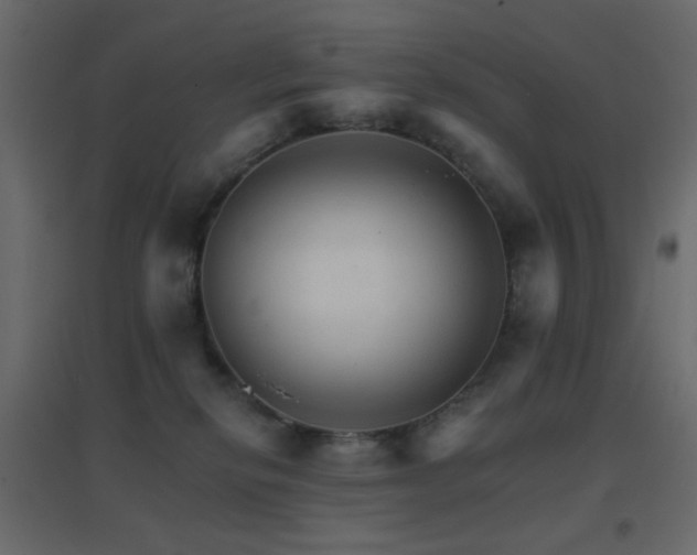 X0000096660278200802051226