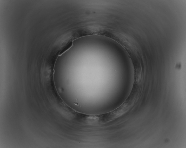 X0000096660279200802051226