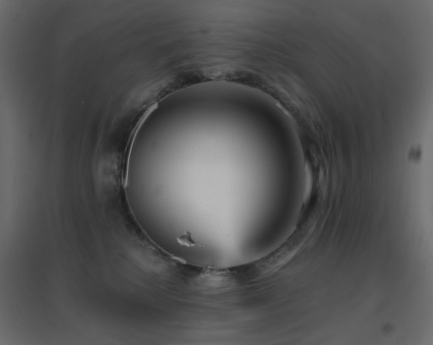 X0000096660280200802051226