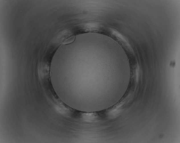 X0000096660281200802051226