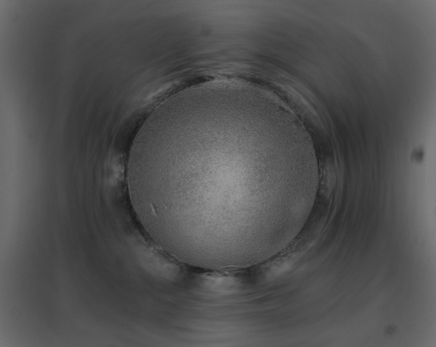 X0000096660284200802051226