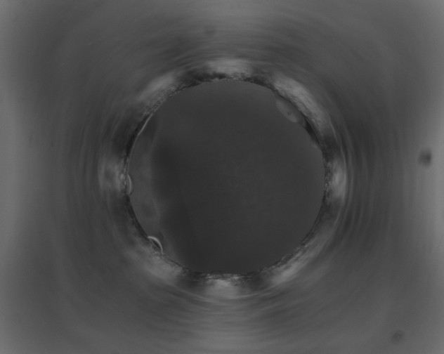 X0000096660285200802051226