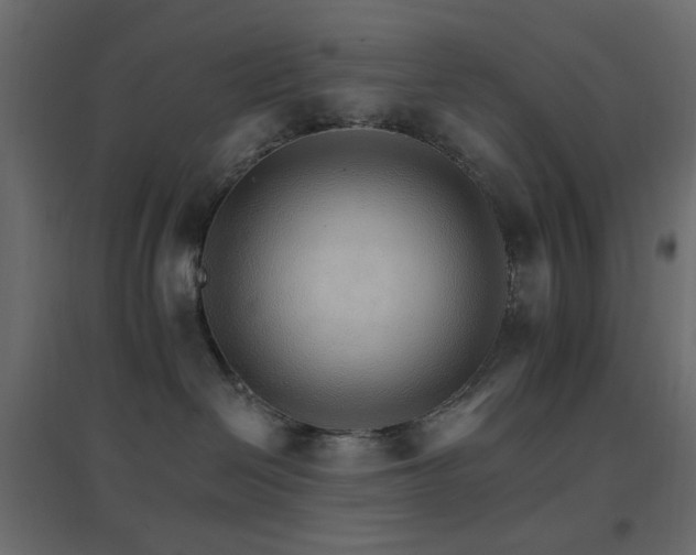 X0000096660286200802051226