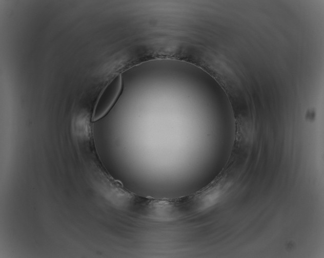 X0000096660287200802051226