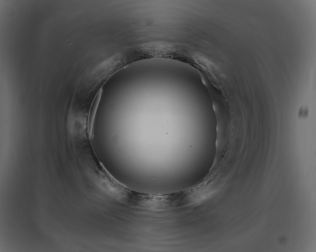 X0000096660288200802051226