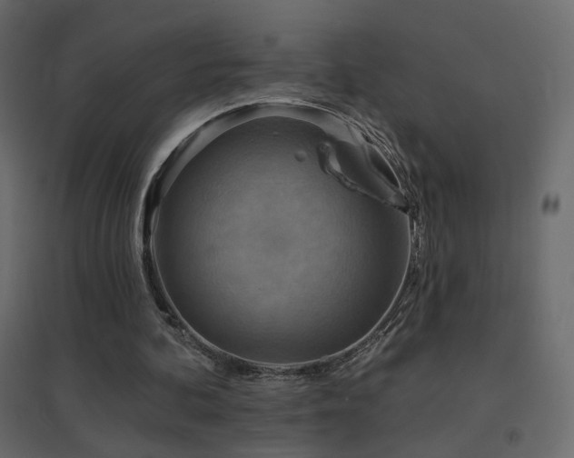 X0000096660292200802051225