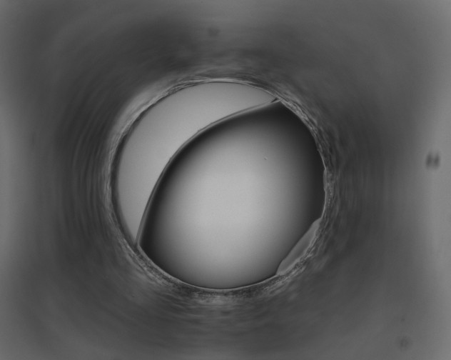 X0000096660293200802051225