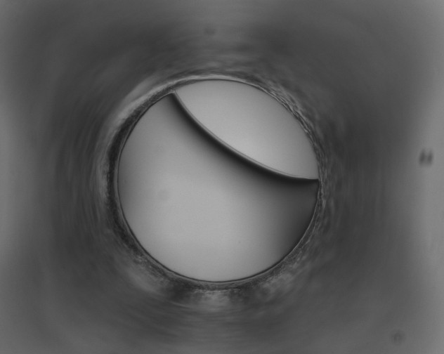 X0000096660295200802051225