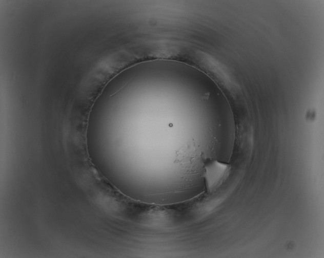 X0000096660307200802051225