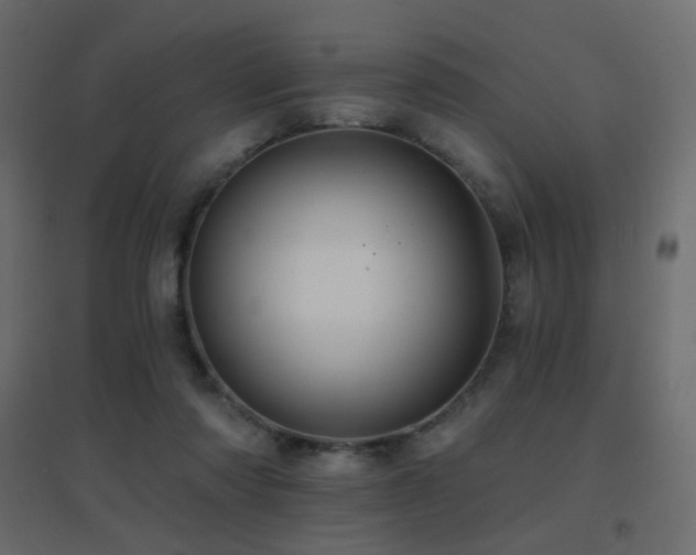 X0000096660310200802051225