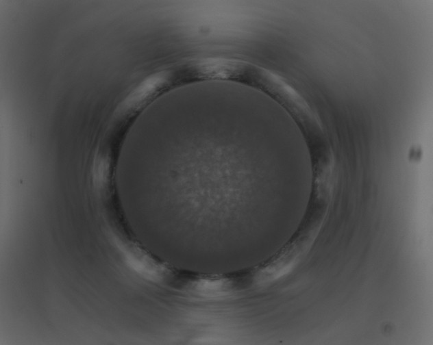X0000096660314200802051225