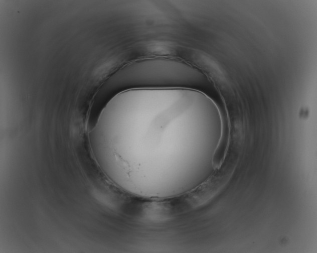 X0000096660320200802051225