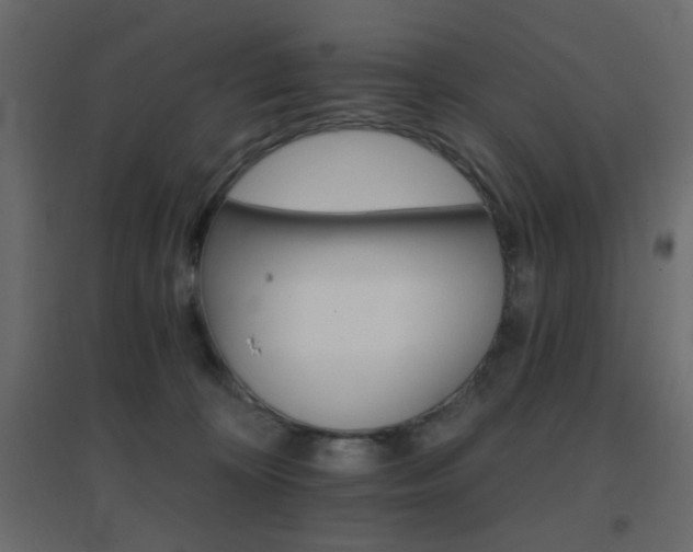 X0000096660324200802051225