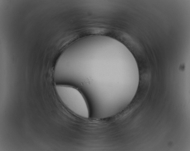 X0000096660325200802051225
