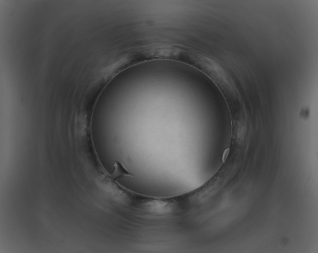 X0000096660326200802051225