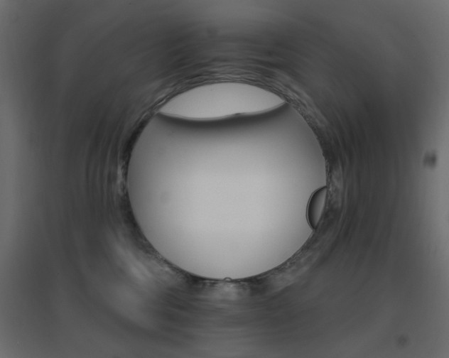 X0000096660330200802051225