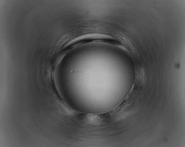 X0000096660333200802051225