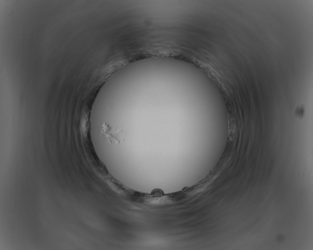 X0000096660334200802051225