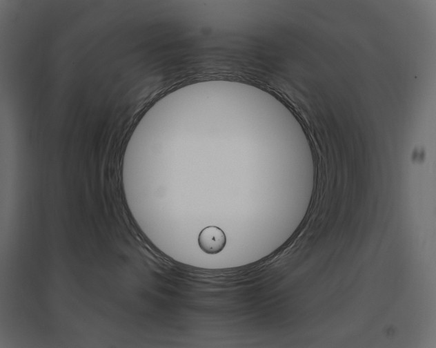 X0000096660336200802051224