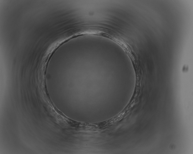 X0000096660337200802051224