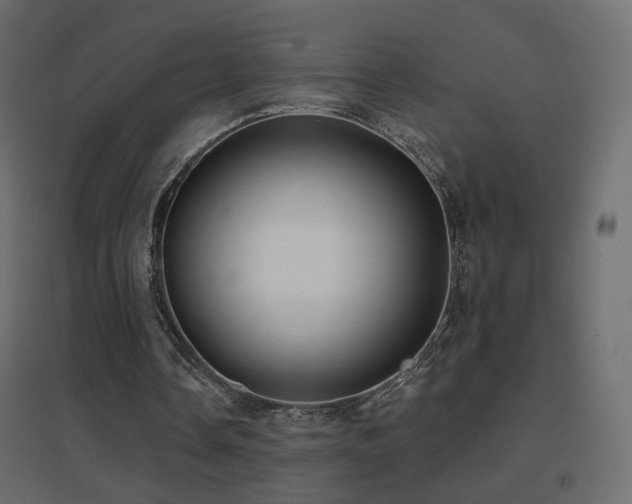 X0000096660338200802051224