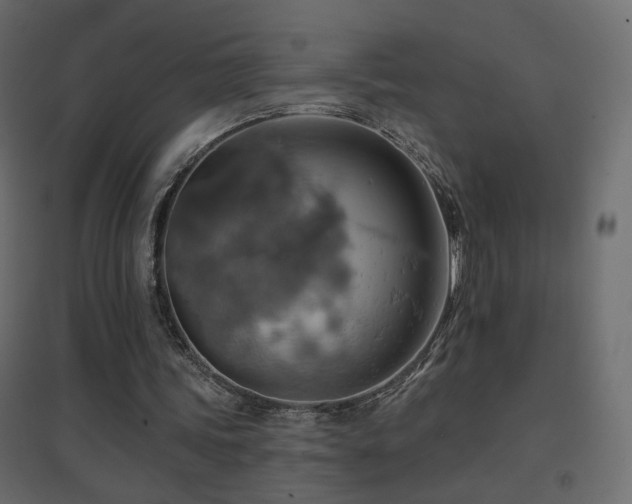 X0000096660339200802051224