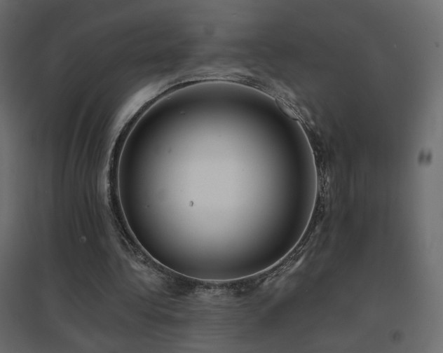 X0000096660340200802051224