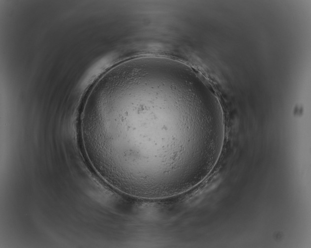 X0000096660341200802051224