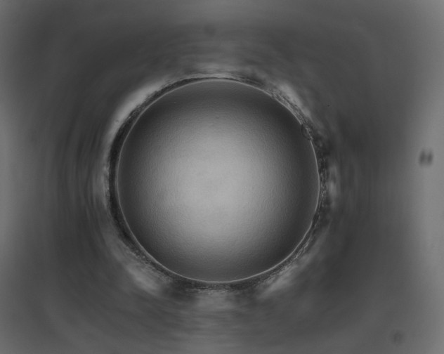 X0000096660342200802051224