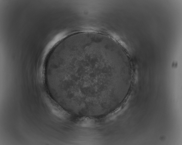 X0000096660343200802051224