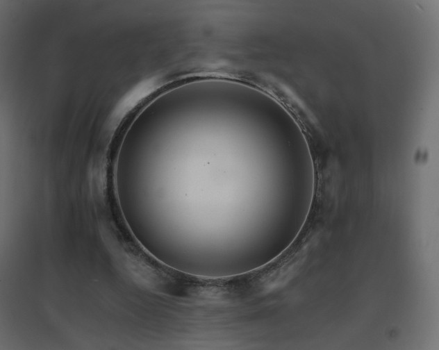 X0000096660344200802051224