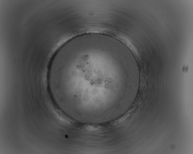 X0000096660346200802051224
