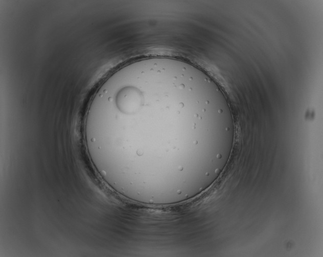 X0000096660347200802051224