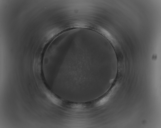 X0000096660349200802051224