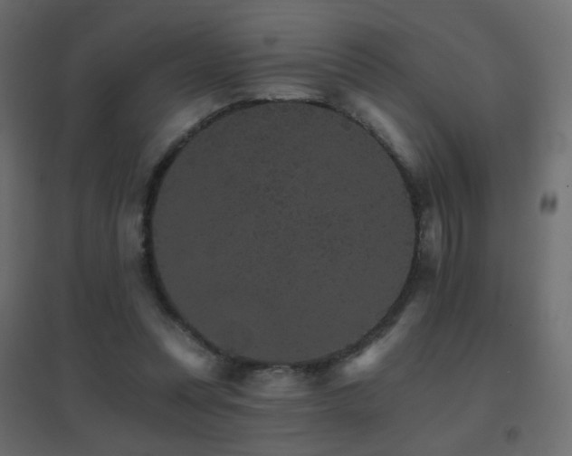 X0000096660351200802051224