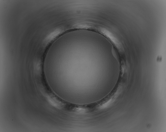 X0000096660352200802051224