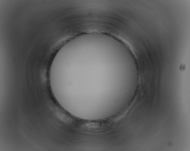 X0000096660353200802051224