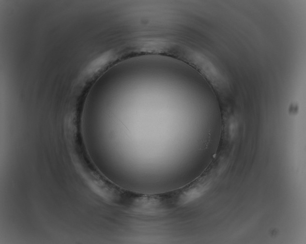X0000096660354200802051224