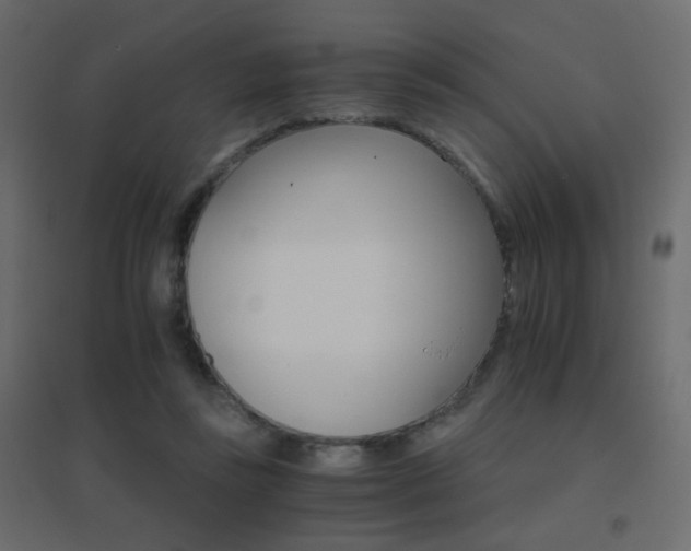 X0000096660355200802051224