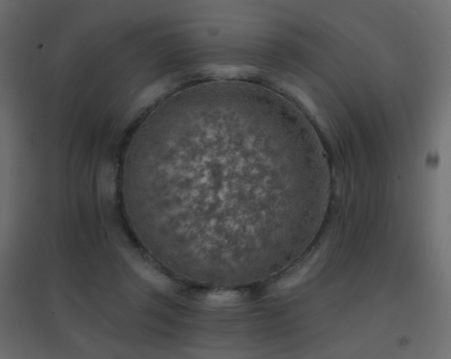 X0000096660357200802051224