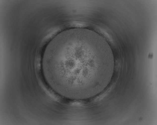 X0000096660358200802051224