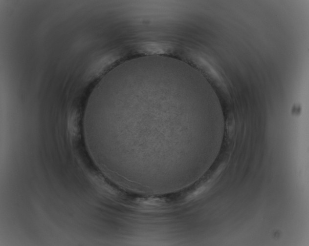 X0000096660359200802051224