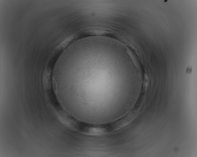 X0000096660360200802051224