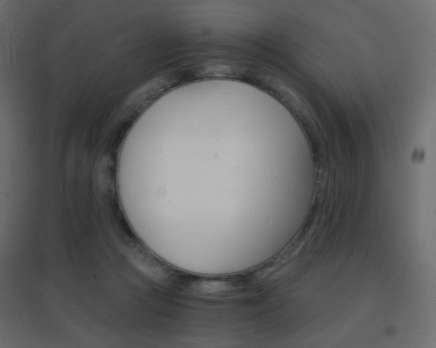 X0000096660361200802051224